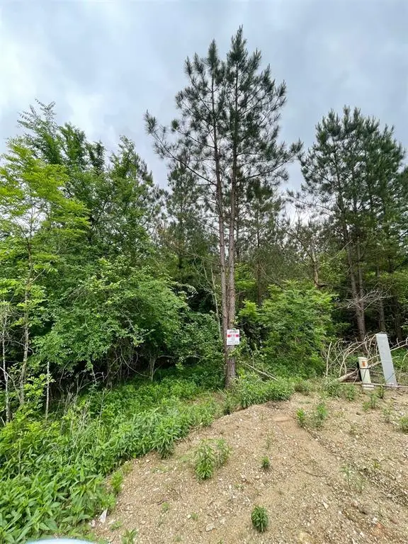 664 Timber Creek Trails South Xi, Broken Bow, OK 74728 - Image #3