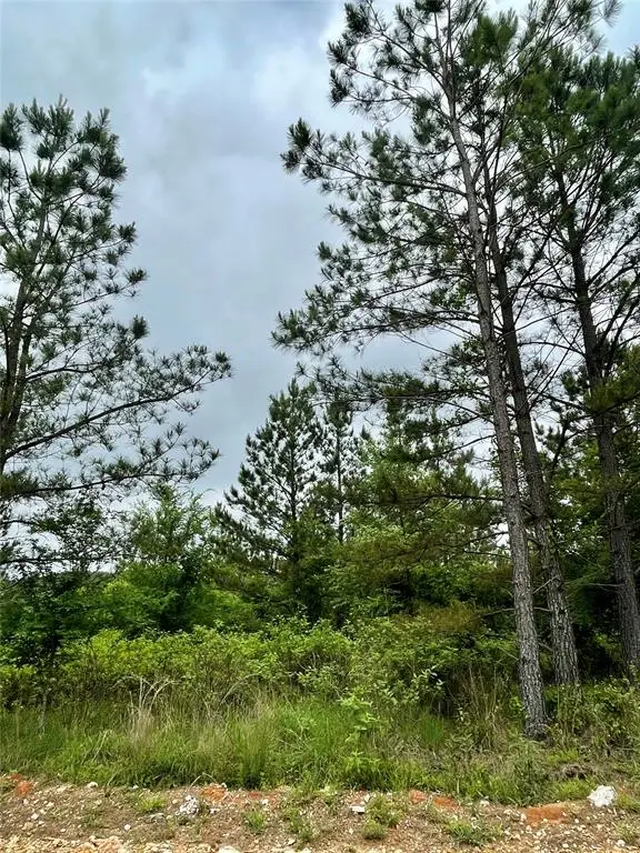672 Timber Creek Trails South Xi, Broken Bow, OK 74728 - Image #2