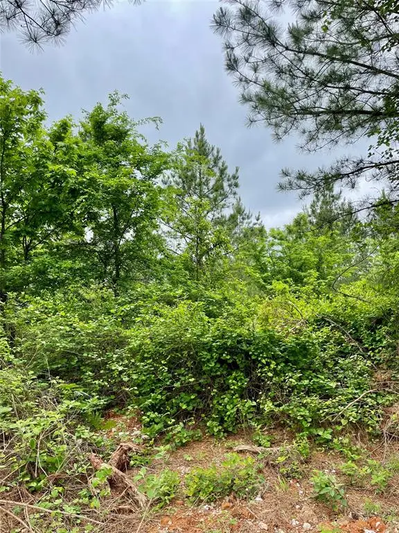 672 Timber Creek Trails South Xi, Broken Bow, OK 74728 - Image #3