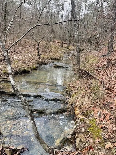 674 Timber Creek Trials South Xi, Broken Bow, OK 74728 - Image #3