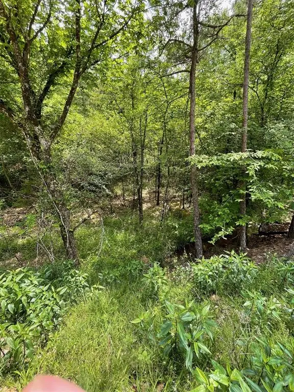 675 Timber Creek Trails South Xi, Broken Bow, OK 74728 - Image #3