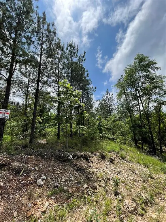 676 Timber Creek Trails South Xi, Broken Bow, OK 74728 - Image #2