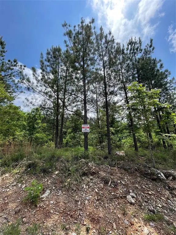 676 Timber Creek Trails South Xi, Broken Bow, OK 74728 - Image #3