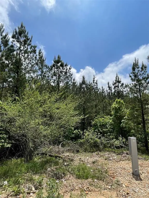 677 Timber Creek Trails South Xi, Broken Bow, OK 74728 - Image #2