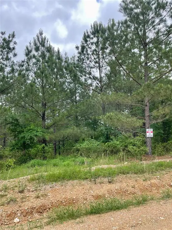 679 Timber Creek Trails South Xi, Broken Bow, OK 74728 - Image #2