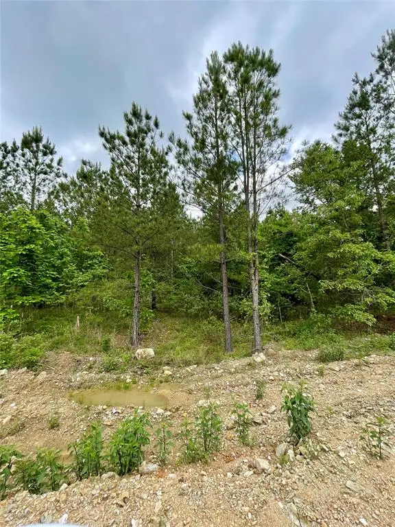 681 Timber Creek Trails South Xi, Broken Bow, OK 74728 - Image #2