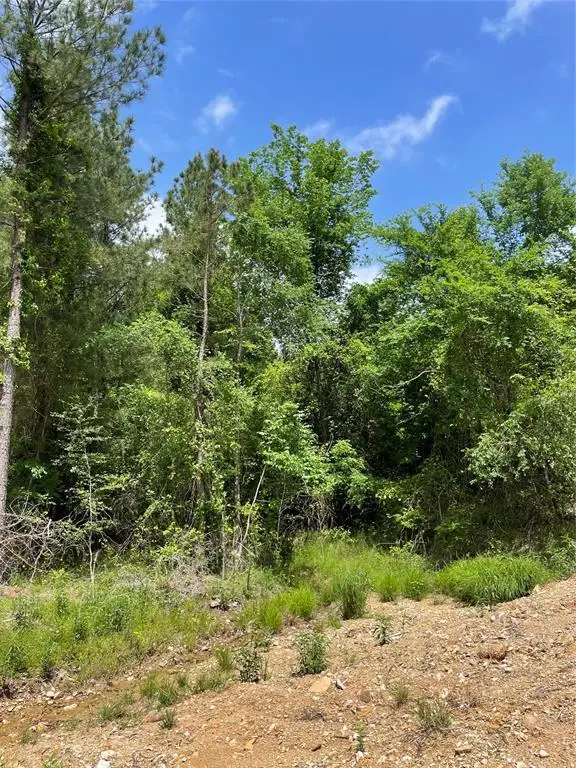 683 Timber Creek Trails South Xi, Broken Bow, OK 74728 - Image #2