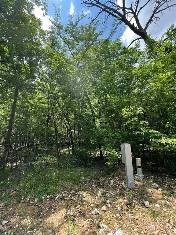 686 Timber Creek Trails South Xi, Broken Bow, OK 74728 - Image #3