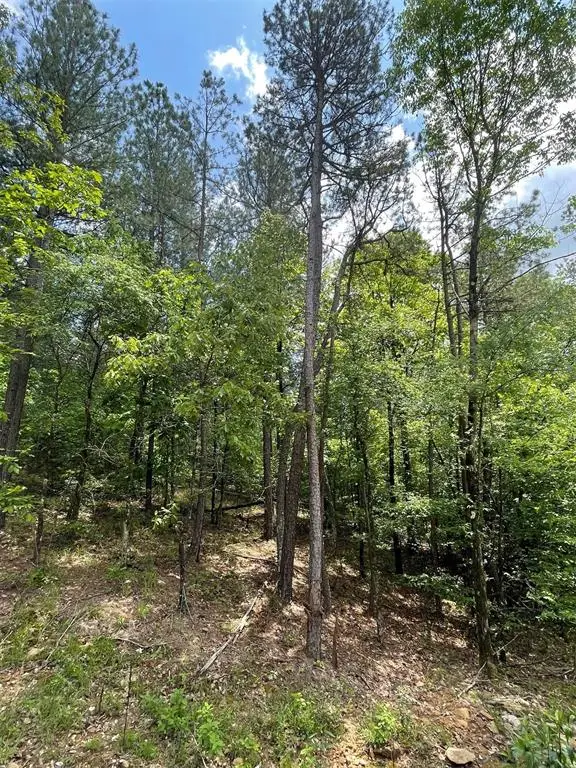 687 Timber Creek Trails South Xi, Broken Bow, OK 74728