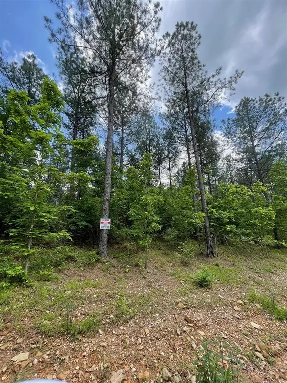 688 Timber Creek Trails South Xi, Broken Bow, OK 74728 - Image #2