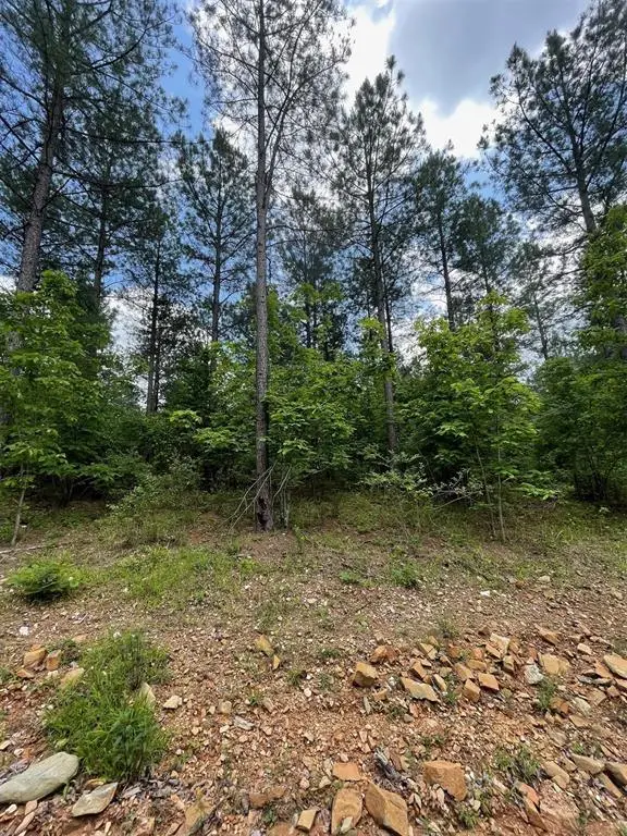 688 Timber Creek Trails South Xi, Broken Bow, OK 74728 - Image #3