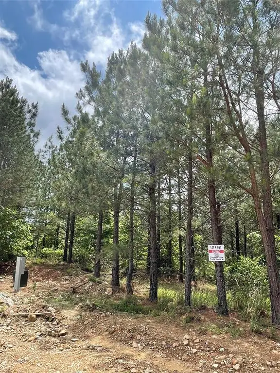 691 Timber Creek Trails South Xi, Broken Bow, OK 74728 - Image #1