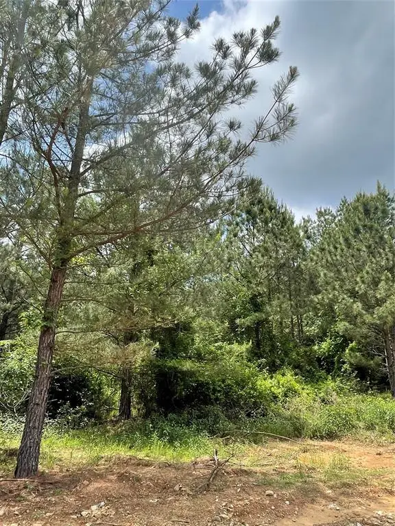 691 Timber Creek Trails South Xi, Broken Bow, OK 74728 - Image #2