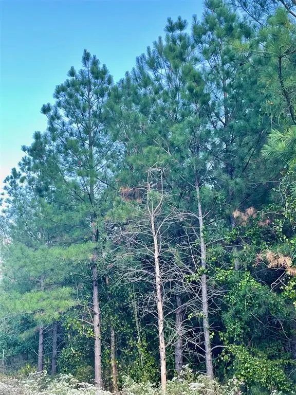 693 Timber Creek Trails South Xi, Broken Bow, OK 74728 - Image #2