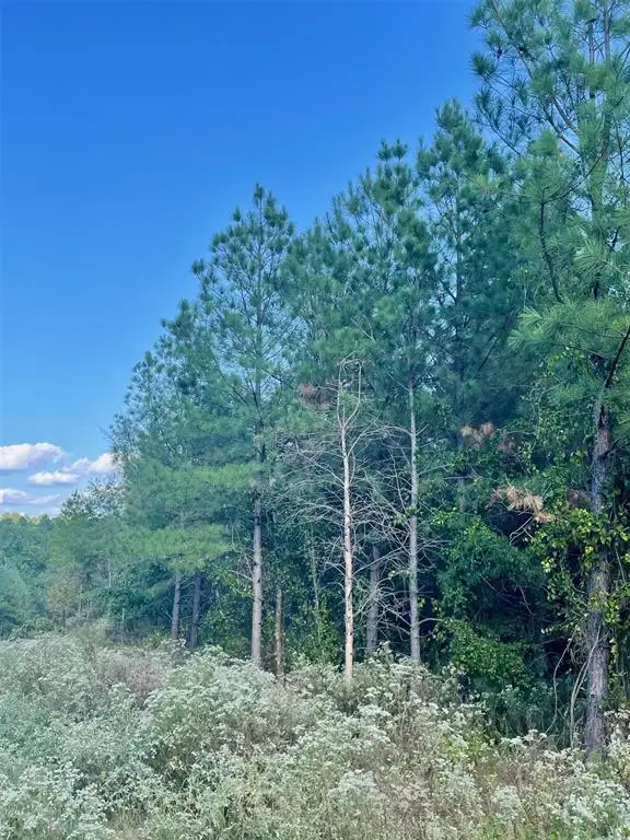 693 Timber Creek Trails South Xi, Broken Bow, OK 74728 - Image #3