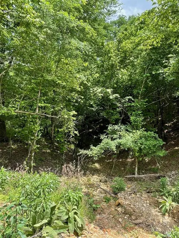 694 Timber Creek Trails South Xi, Broken Bow, OK 74728 - #3