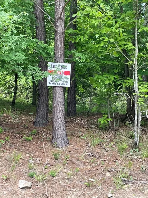 696 Timber Creek Trails South Xi, Broken Bow, OK 74728 - #3