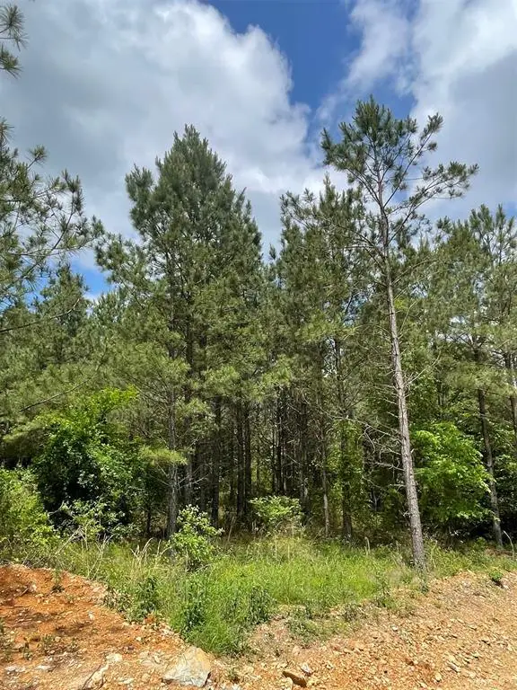 697 Timber Creek Trails South Xi, Broken Bow, OK 74728