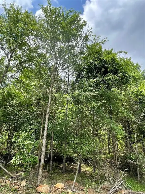 697 Timber Creek Trails South Xi, Broken Bow, OK 74728 - #2