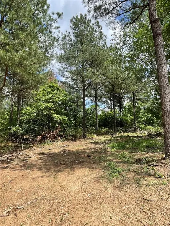 698 Timber Creek Trails South Xi, Broken Bow, OK 74728 - #2