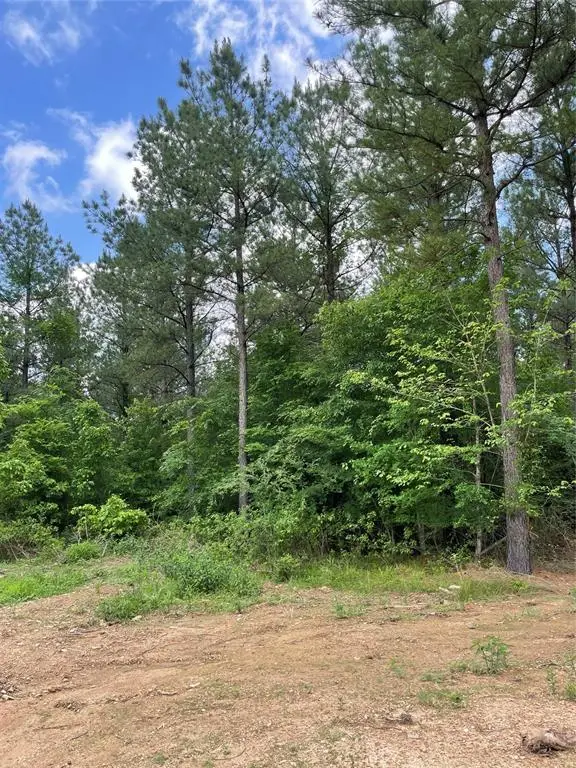 699 Timber Creek Trails South Xi, Broken Bow, OK 74728 - #2