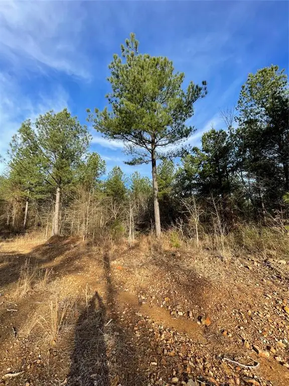 699 Timber Creek Trails South Xi, Broken Bow, OK 74728 - #3