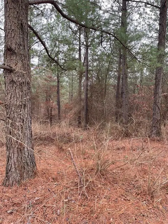 700 Timber Creek Trails South Xi, Broken Bow, OK 74728 - #2