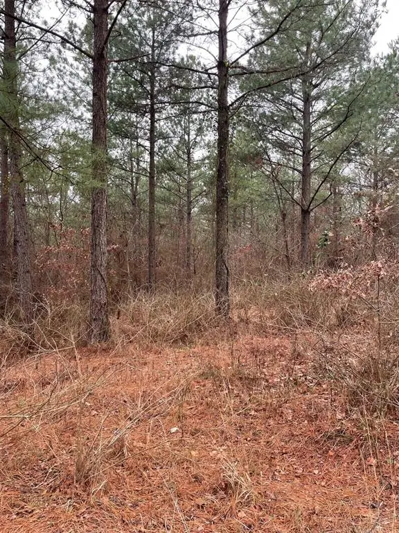 700 Timber Creek Trails South Xi, Broken Bow, OK 74728 - #3