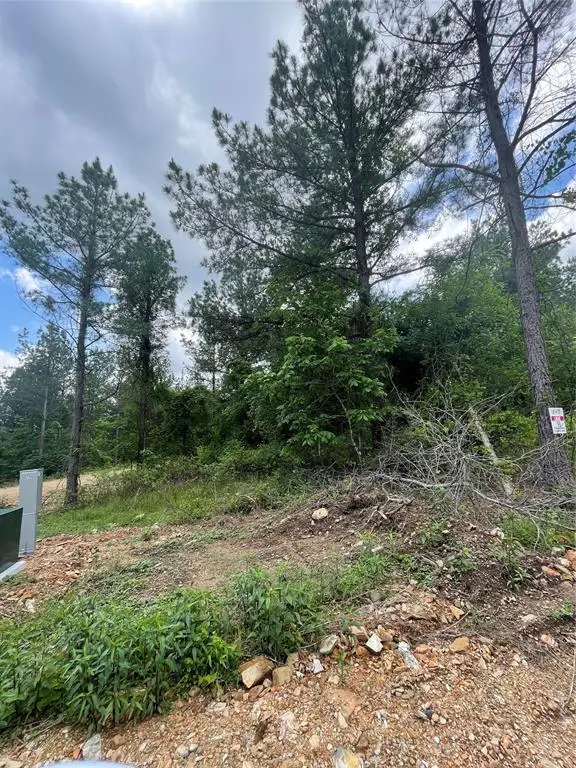 701 Timber Creek Trails South Xi, Broken Bow, OK 74728 - #2