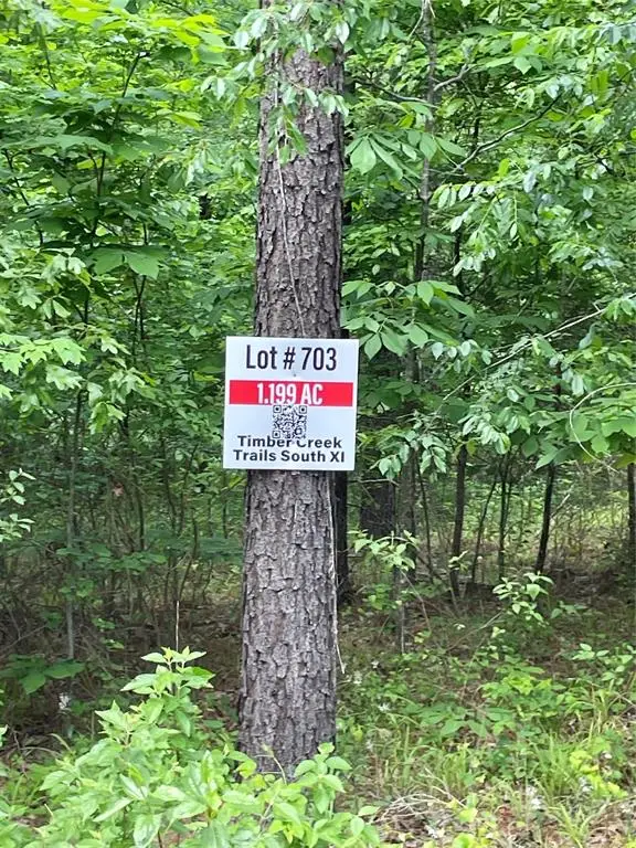 703 Timber Creek Trails South Xi, Broken Bow, OK 74728 - #3