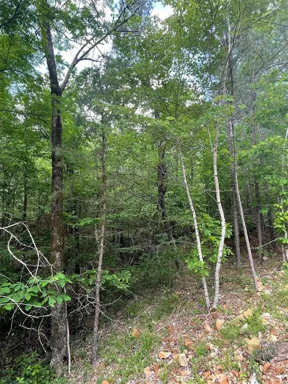 704 Timber Creek Trails South Xi, Broken Bow, OK 74728 - #2