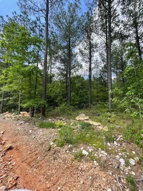 705 Timber Creek Trails South Xi, Broken Bow, OK 74728 - Image #2