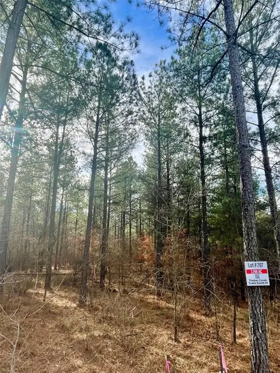 707 Timber Creek Trails South Xi, Broken Bow, OK 74728 - #2