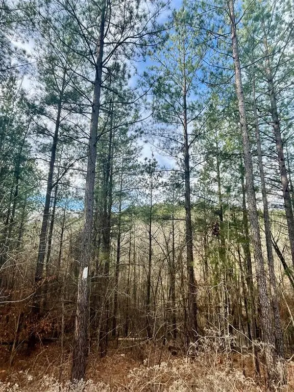 707 Timber Creek Trails South Xi, Broken Bow, OK 74728 - #3