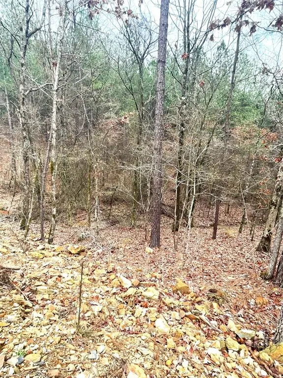 708 Timber Creek Trails South Xi, Broken Bow, OK 74728 - #2