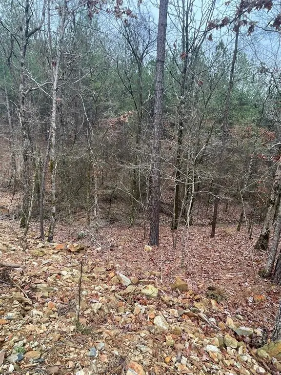 708 Timber Creek Trails South Xi, Broken Bow, OK 74728 - #3