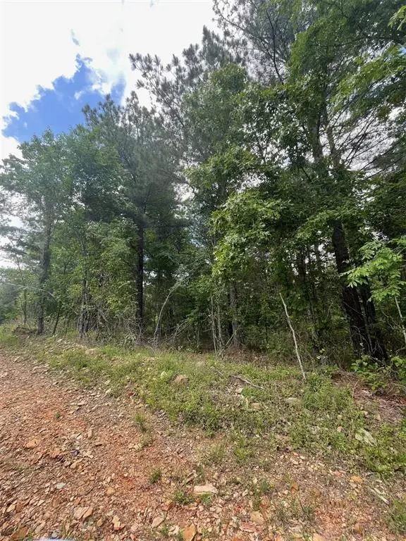 711 Timber Creek Trails South Xi, Broken Bow, OK 74728