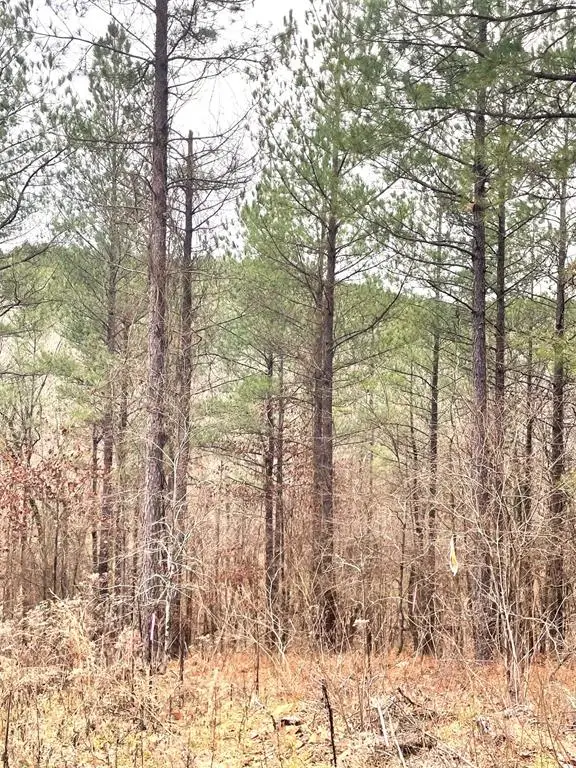 715 Timber Creek Trails South Xi, Broken Bow, OK 74728 - Image #1