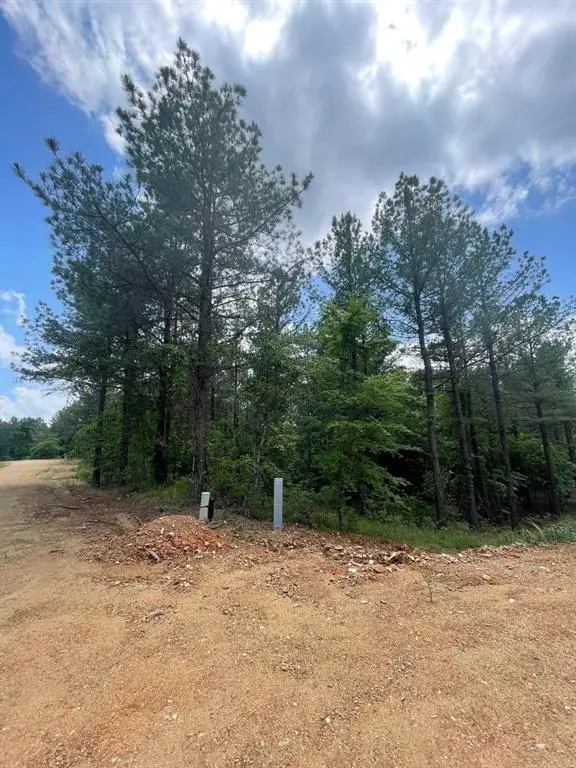 717 Timber Creek Trails South Xi, Broken Bow, OK 74728