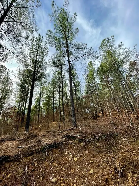 719 Timber Creek Trails South Xi, Broken Bow, OK 74728