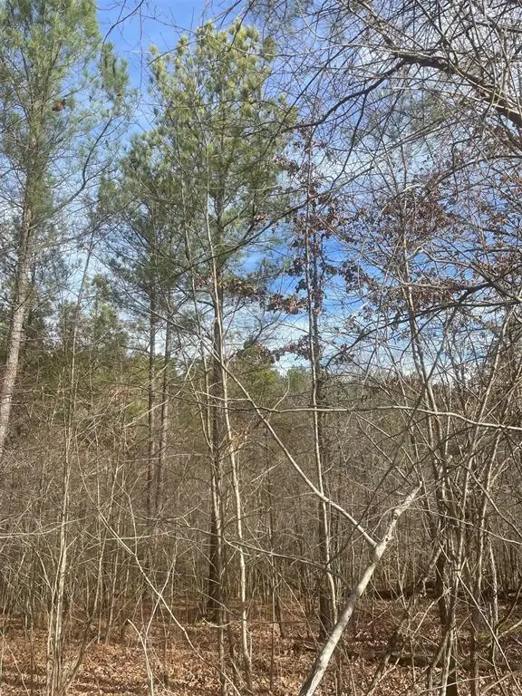 726 Timber Creek Trails South Xi, Broken Bow, OK 74728 - Image #2