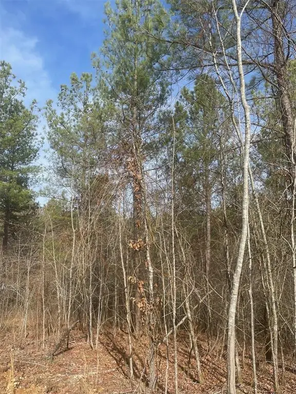 726 Timber Creek Trails South Xi, Broken Bow, OK 74728 - Image #3