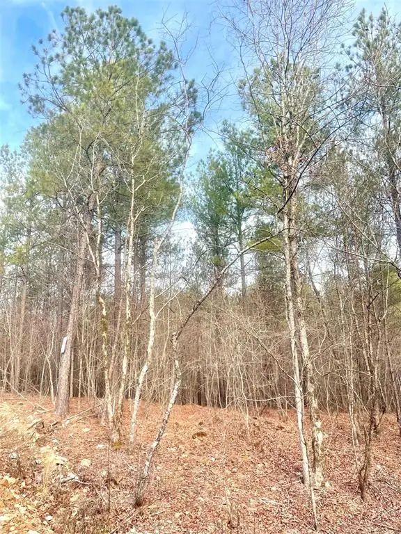 727 Timber Creek Trails South Xi, Broken Bow, OK 74728 - Image #1