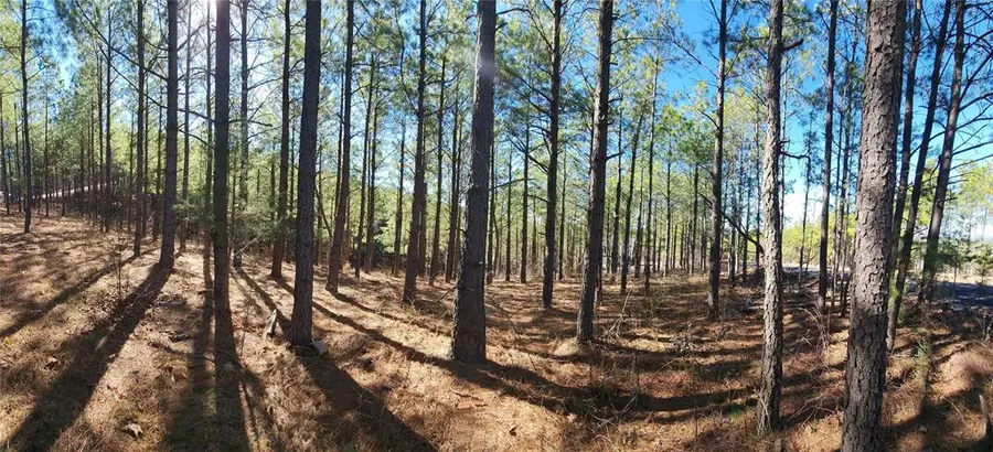 Timberline Trail, Broken Bow, OK 74728 - Image #2