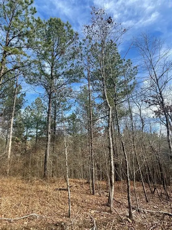 729 Timber Creek Trails South Xi, Broken Bow, OK 74728 - Image #2