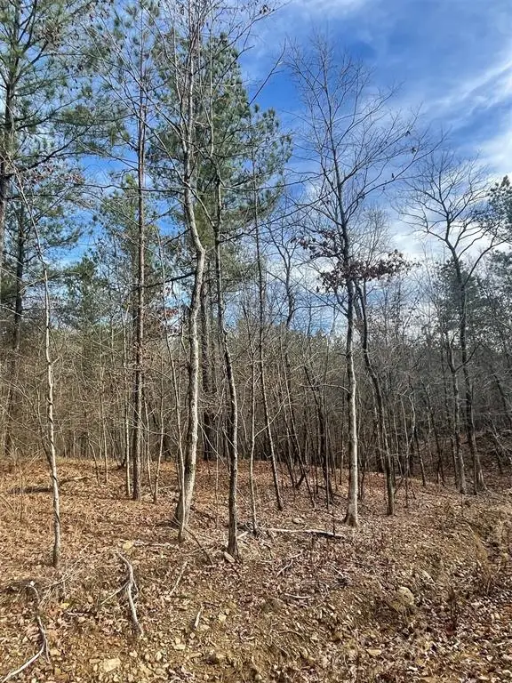 729 Timber Creek Trails South Xi, Broken Bow, OK 74728 - Image #3