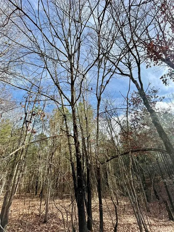 731 Timber Creek Trails South Xi, Broken Bow, OK 74728 - Image #3