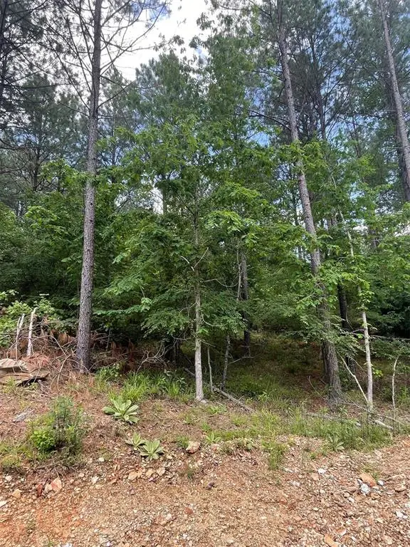 734 Timber Creek Trails South Xi, Broken Bow, OK 74728 - Image #2