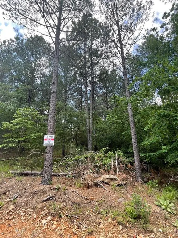 734 Timber Creek Trails South Xi, Broken Bow, OK 74728 - Image #3