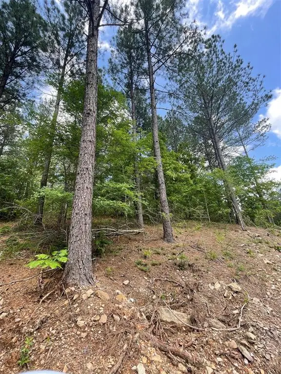 735 Timber Creek Trails South Xi, Broken Bow, OK 74728 - Image #2